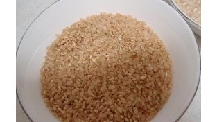 논산 최고의 쌀을 찾아라!